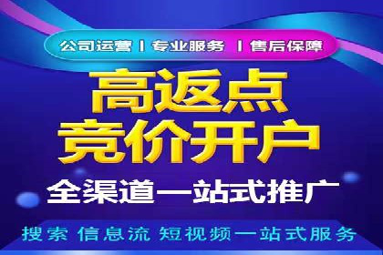 信息流广告推广成功案例深度剖析